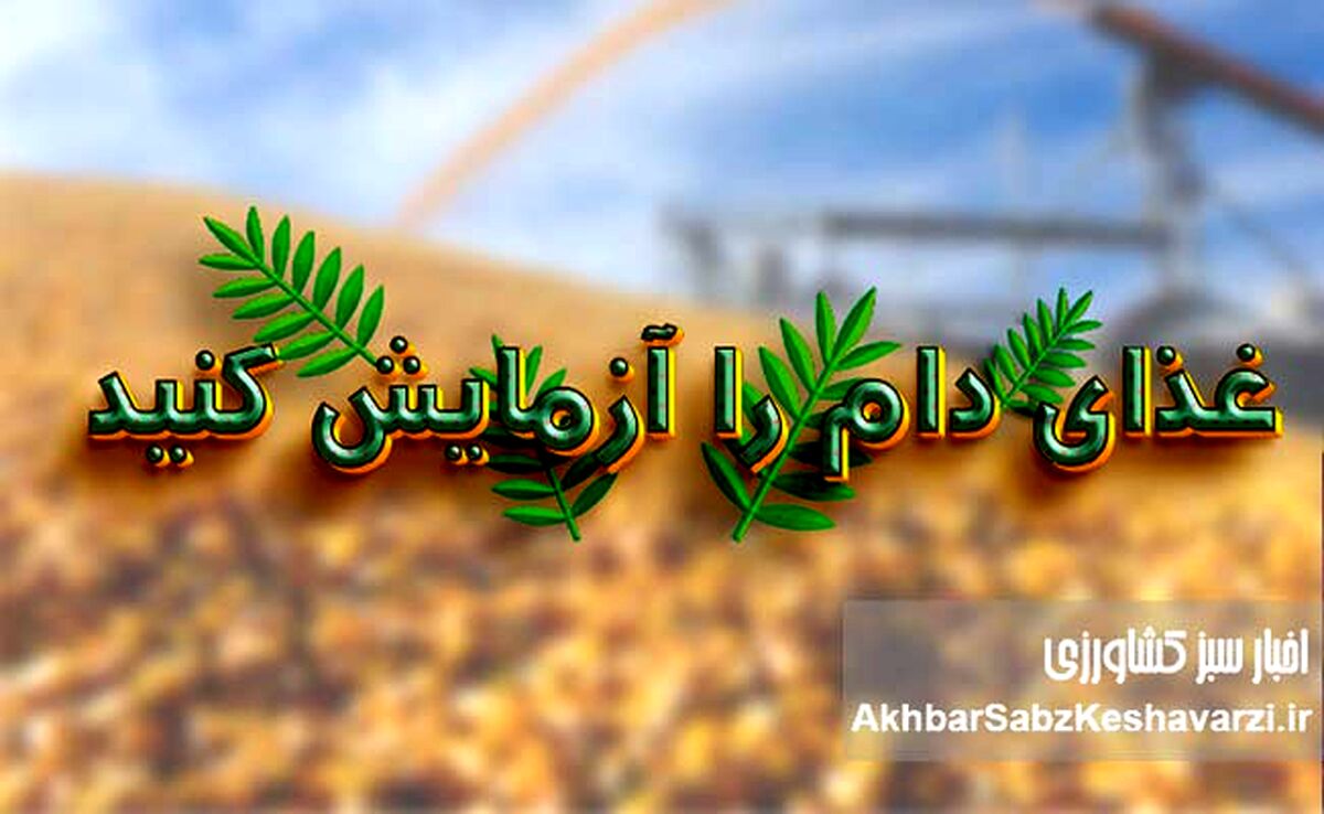 غذای دام را آزمایش کنید؛ تصمیمی ساده با سودی بزرگ