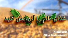 غذای دام را آزمایش کنید؛ تصمیمی ساده با سودی بزرگ