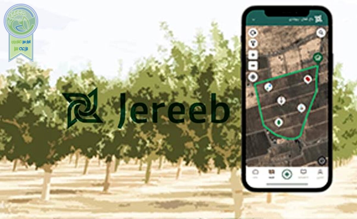 تاثیر محاسبه مساحت تاج درخت در سلامت و سودآوری باغات+ تصویر

