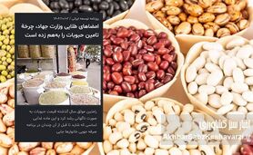امضاهای طلایی وزارت جهاد چگونه حبوبات را از سفره مردم حذف کرد؟ / روایتی از نابسامانی واردات و گرانی افسارگسیخته