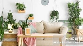 اهمیت استفاده از گیاهان در دکوراسیون داخلی