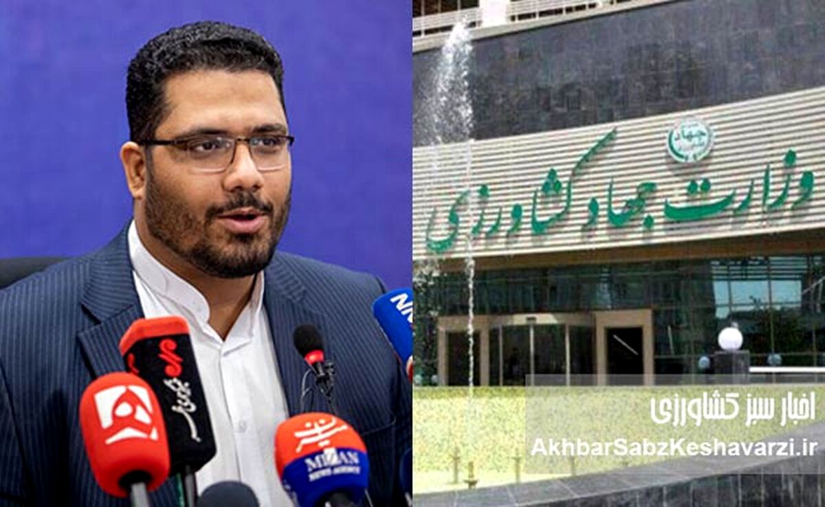 مدیر سازمان میادین تهران: بی‌مدیریتی جهاد کشاورزی، صدای مردم و کشاورز را درآورد!+ ویدئو