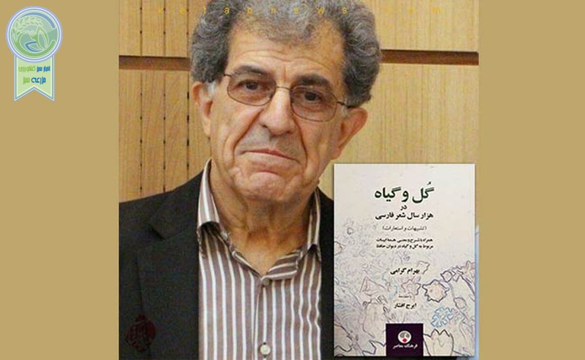 «گل و گیاه در هزار سال شعر فارسی»؛ هم خواندنی هم مرجع

