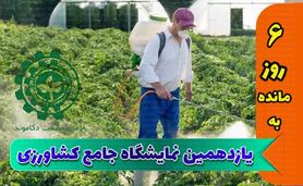 مشکل تخصیص ارز و ترخیص از گمرک باید مرتفع شود

