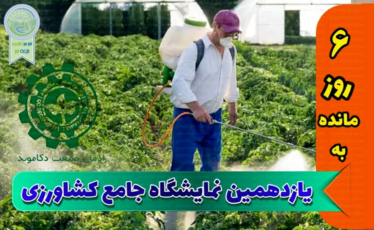 مشکل تخصیص ارز و ترخیص از گمرک باید مرتفع شود


