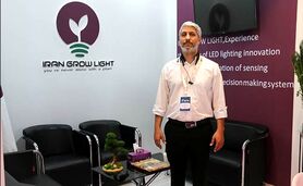 نوسان نرخ ارز به زنجیره تولید شوک وارد می‌سازد

