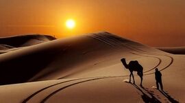 به آفریقای ایران خوش آمدید


