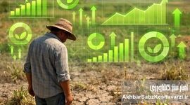 کشاورزی سبز در سایه آمارسازی؛ وقتی عددها سبزند، زمین نه
