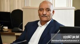 هشدار رئیس بنیاد ملی گندمکاران درباره تهدید امنیت غذایی و ضعف بیمه محصولات کشاورزی