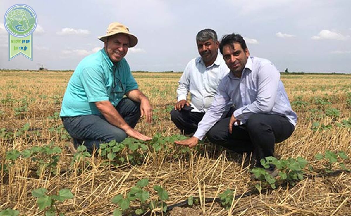 مضرات آتش زدن بقایای گیاهی از زبان کشاورز گنبدکاووسی+ویدئو

