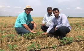مضرات آتش زدن بقایای گیاهی از زبان کشاورز گنبدکاووسی+ویدئو

