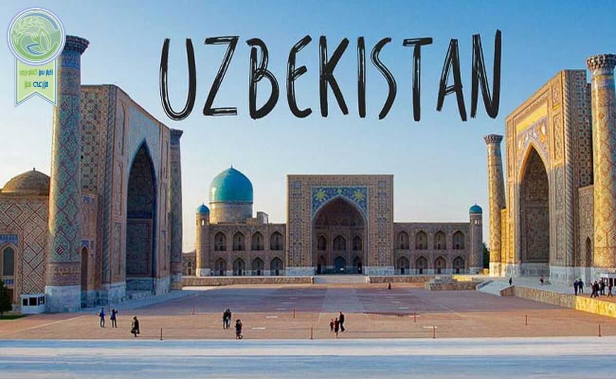​عید نوروز امسال در خانه همسایه

