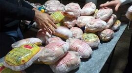 مرغ دولتی ارزان روانه بازار شد