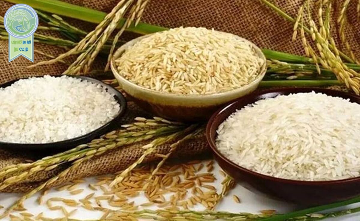 برنج، طلای سفید گران در فضای مجازی!