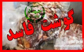 محموله ۱۰۰ تنی گوشت مغولستان پس از رد شدن توسط عراق سر از بازار ایران درآورد+ویدئو