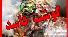 محموله ۱۰۰ تنی گوشت مغولستان پس از رد شدن توسط عراق سر از بازار ایران درآورد+ویدئو