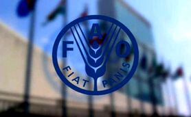 آغاز همکاری ایران و فائو برای تاب‌آوری در برابر تغییرات اقلیمی

