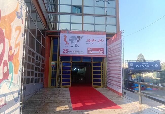 گزارش روز دوم نمایشگاه دام و طیور؛ استقبال گسترده متخصصان و حضور پررنگ تولیدکنندگان دارو و مکمل‌ها
