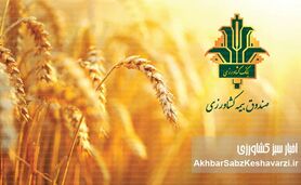 حمایت‌های صندوق بیمه کشاورزی از کشاورزان فارس: گزارشی جامع از حضور قائم‌مقام در مرودشت