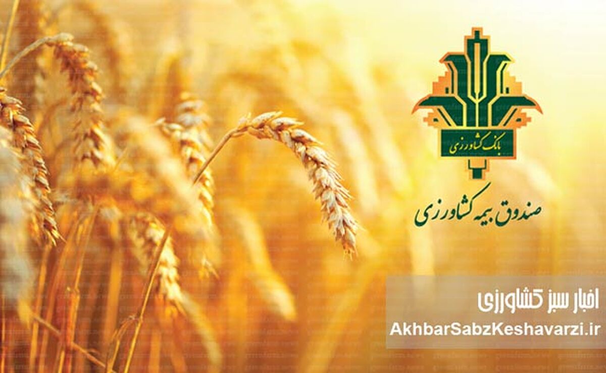 حمایت‌های صندوق بیمه کشاورزی از کشاورزان فارس: گزارشی جامع از حضور قائم‌مقام در مرودشت