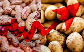 قیمت لوبیا چیتی و سیب زمینی رکورددار تورم غذا در ایران
