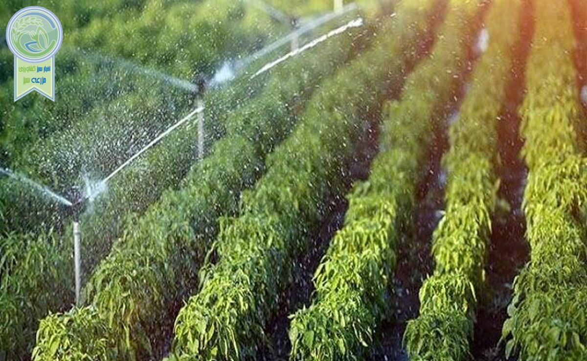 نیاز آبی گیاهان در کشاورزی و باغبانی+ ویدئو

