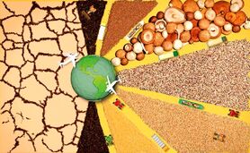 آفریقا کلید تأمین امنیت غذایی در ایران

