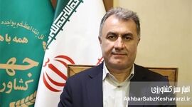 ​خوداتکایی مالی؛ اولویت جدید صندوق بیمه کشاورزی برای مدیریت ریسک

