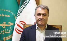 ​خوداتکایی مالی؛ اولویت جدید صندوق بیمه کشاورزی برای مدیریت ریسک


