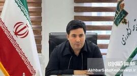 پرداخت ۲۵۰ میلیارد غرامت بیمه آبزیان؛ کدام استان‌ها بیشترین خسارت را داشتند؟