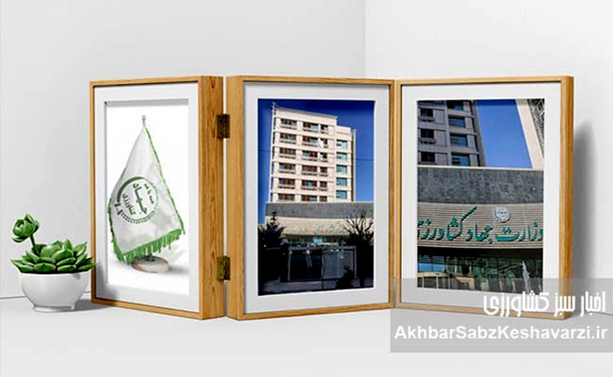 پوست اندازی منفی وزارت جهاد کشاورزی کلید خورد؛ تغییر ساختار برای چابک‌سازی و بهبود عملکرد