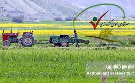 سه چالش اساسی بخش کشاورزی ایران از زبان سرشماری عمومی کشاورزی در سال ۱۴۰۳