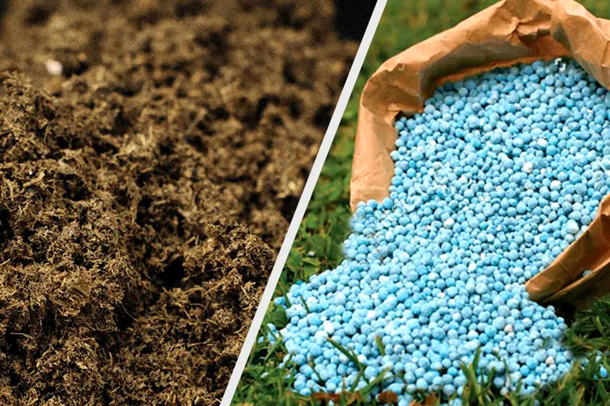 کود شیمیایی یا حیوانی؟ نبرد بر سر کیفیت محصول و سلامت خاک

