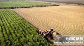 از کشت فراسرزمینی تا سرمایه‌گذاری خارجی؛ سپرهای دفاعی که نساختیم
