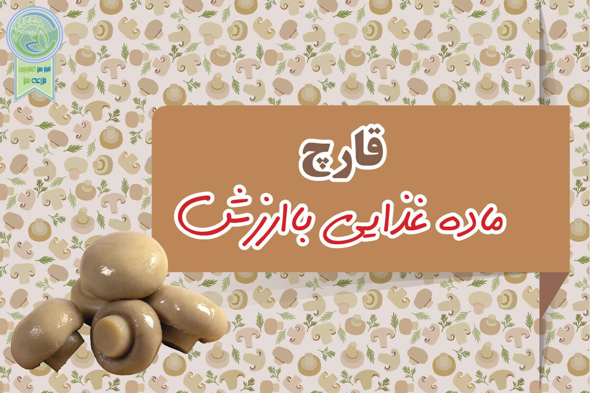 قارچ ماده غذایی باارزش

