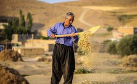 احیای دیمزارها با فناوری‌های نوین

