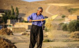 احیای دیمزارها با فناوری‌های نوین

