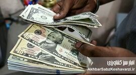 عبور دلار از مرز ۱۴۶ هزار تومان؛ قیمت رسمی ارزها در ۱۵ اردیبهشت ۱۴۰۵ اعلام شد