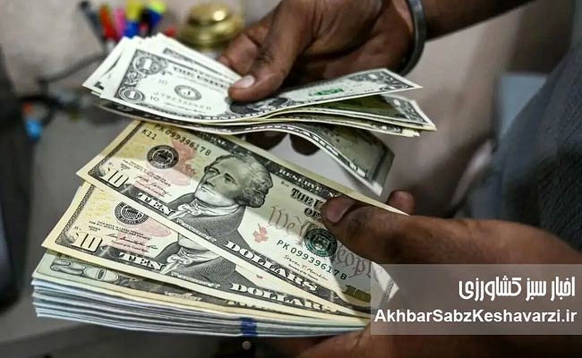 عبور دلار از مرز ۱۴۶ هزار تومان؛ قیمت رسمی ارزها در ۱۵ اردیبهشت ۱۴۰۵ اعلام شد