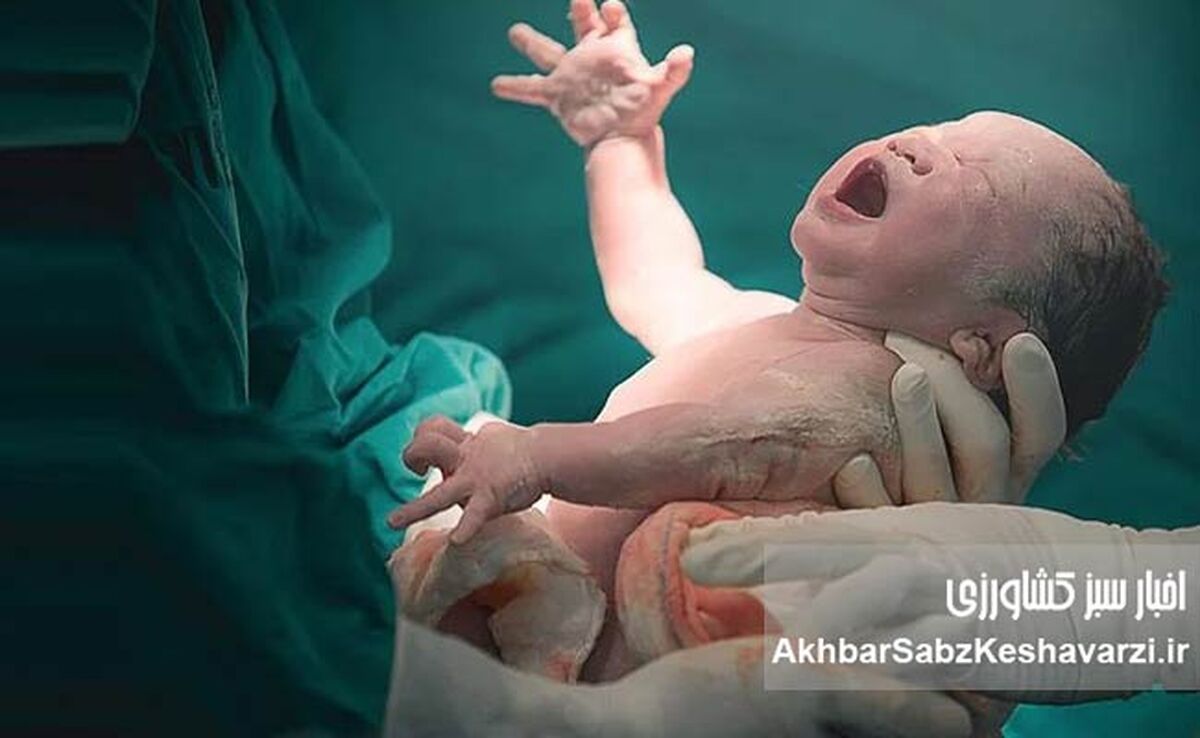 رحم جایگزین در ایران؛ مادری میان حق، فقر و قرارداد