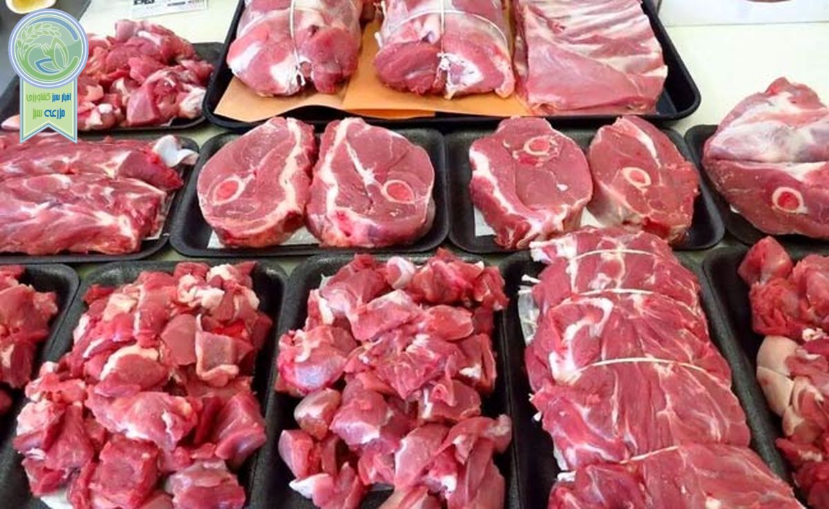قیمت گوشت ارزان می‌شود؟

