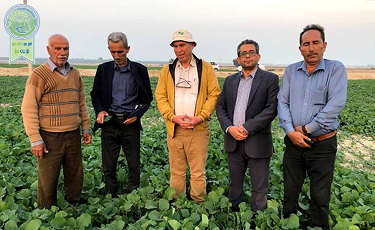 بقایای گیاهی؛ گنج پنهان کشاورزی+ ویدئو

