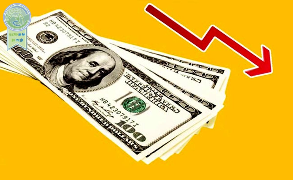 سقوط قیمت دلار پس از حمله اسرائیل

