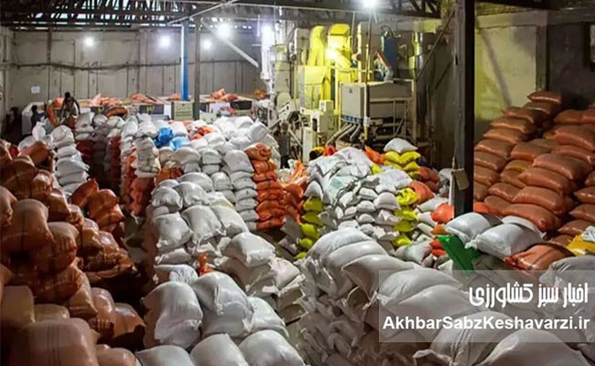 تلاش مافیای پشت واردات 60 هزار تن برنج وارداتی تقلبی جهت شکستن حکم 