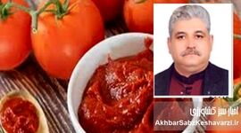 رب گوجه فرنگی و اثرات آن بر سلامتی تغذیه