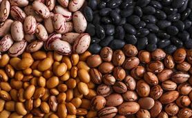 رفع محدودیت واردات حبوبات راهی برای کاهش قیمت

