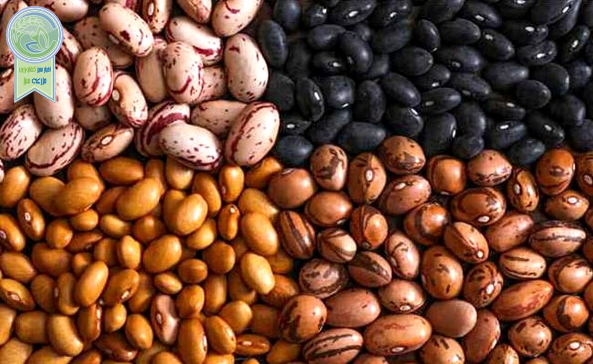 رفع محدودیت واردات حبوبات راهی برای کاهش قیمت

