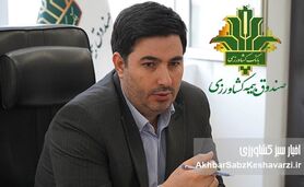 پژوهش، سنگ‌بنای تصمیم‌سازی علمی و توسعه پایدار