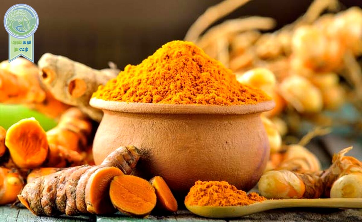 زردچوبه، درمانی طبیعی برای کبد چرب