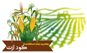 بهترین زمان استفاده از کود ازت

